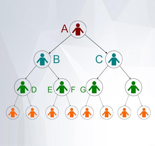 Binary MLM Software India