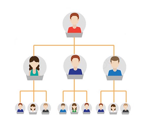 Matrix MLM Plan Software India