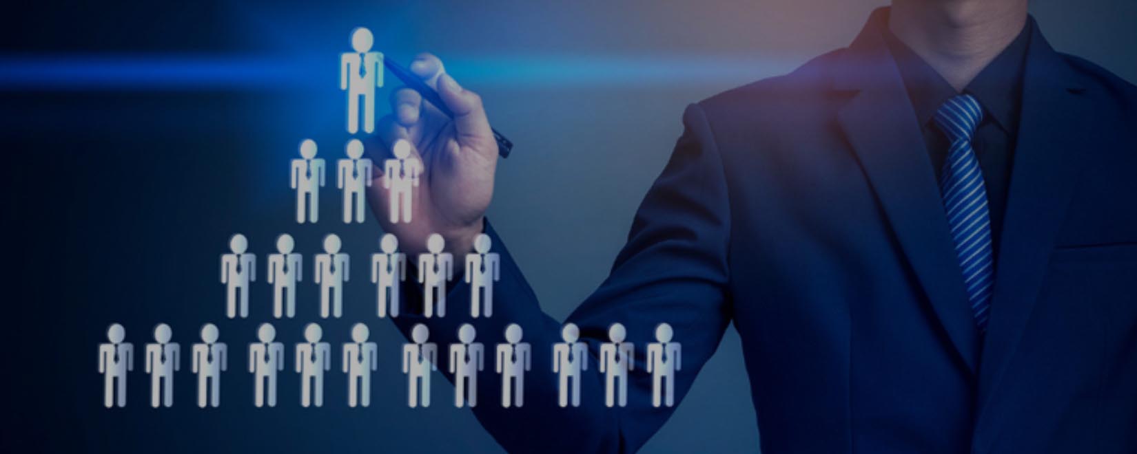 MLM Software Solutions India